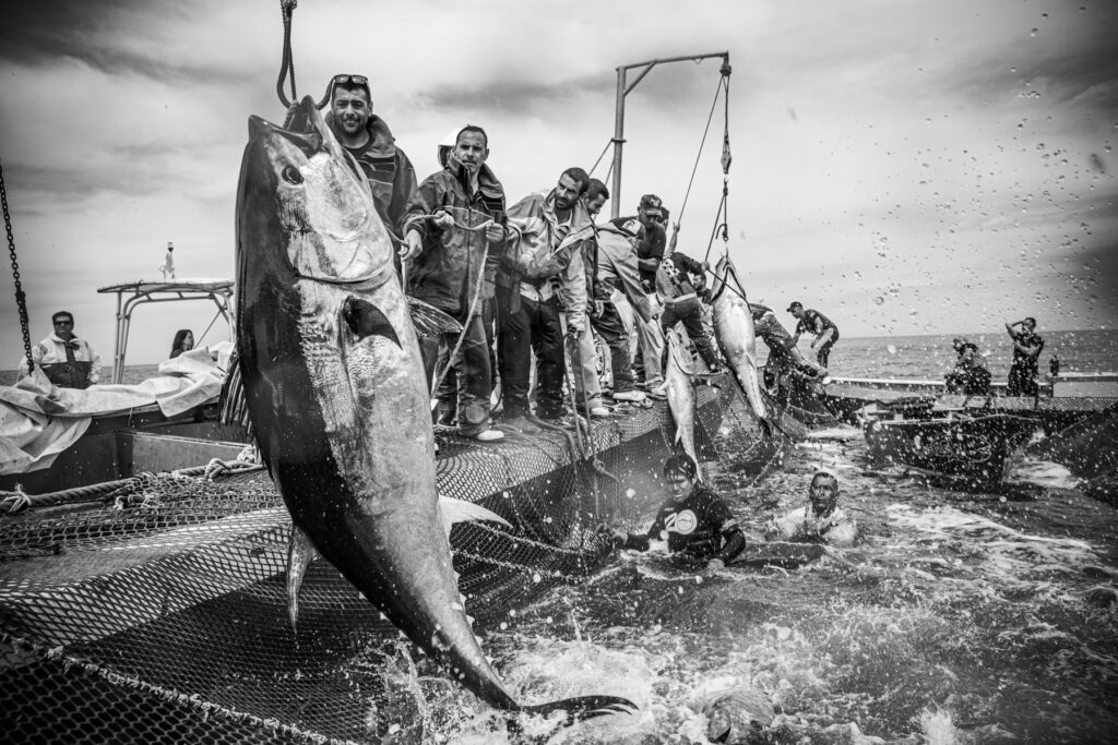 La mattanza di settembre