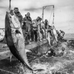 La mattanza di settembre