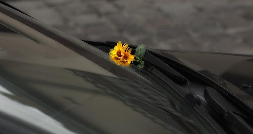 Chiedo che venga perdonato Vorwerk